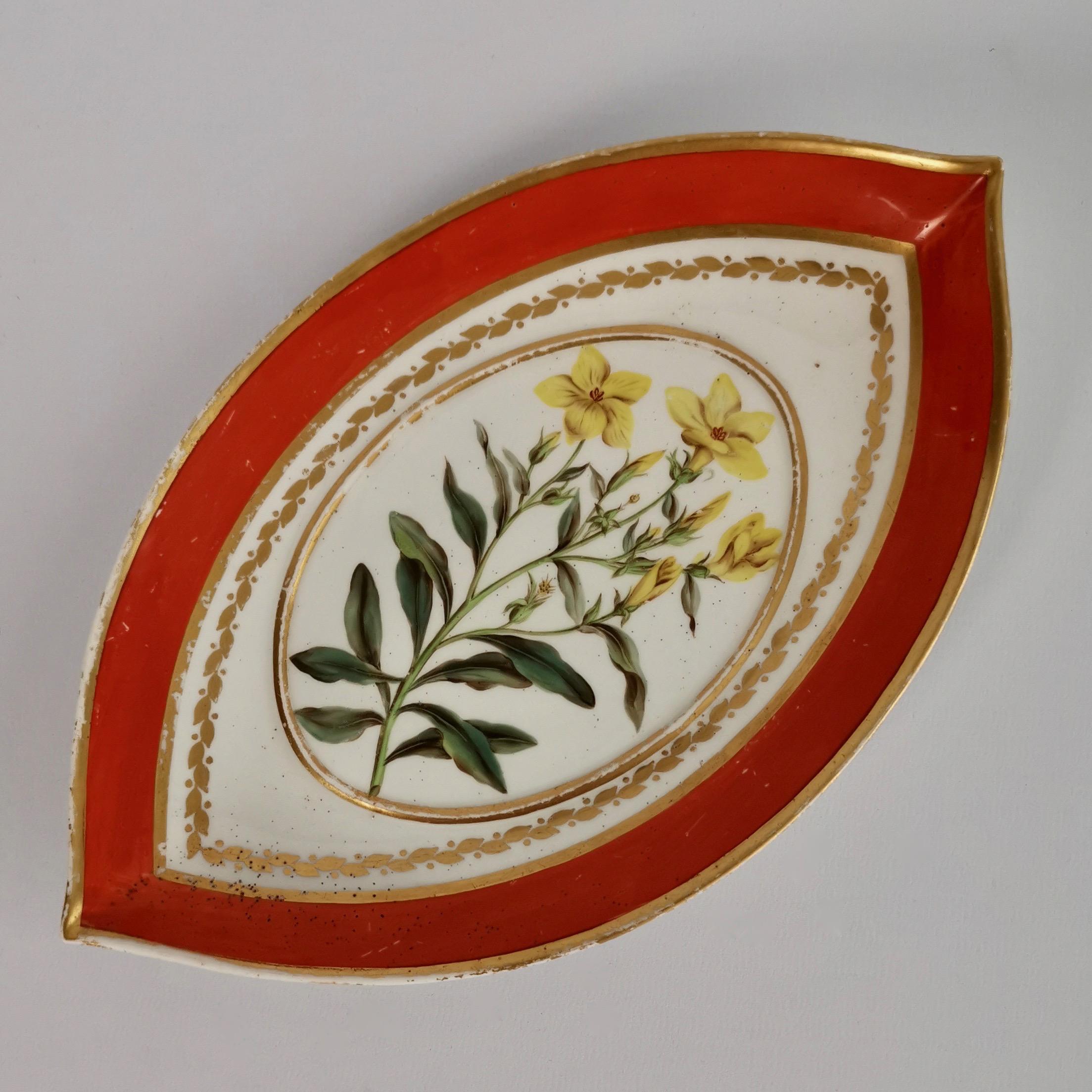 Hand-Painted Derby Porcelain Dessert Service Red Botanical Attr. to John Brewer, Regency 1795 For Sale
