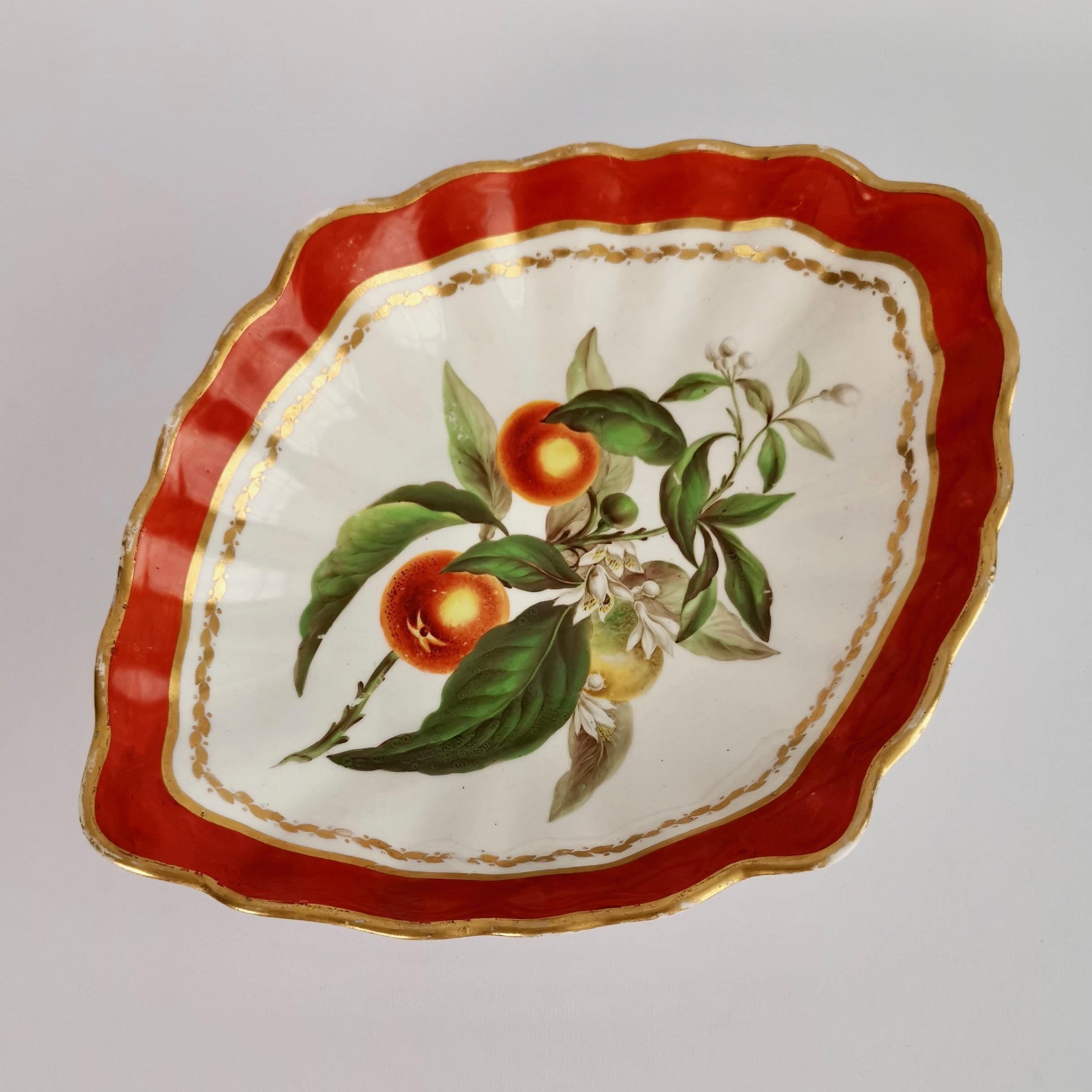 Derby Porcelain Dessert Service Red Botanical Attr. to John Brewer, Regency 1795 For Sale 2