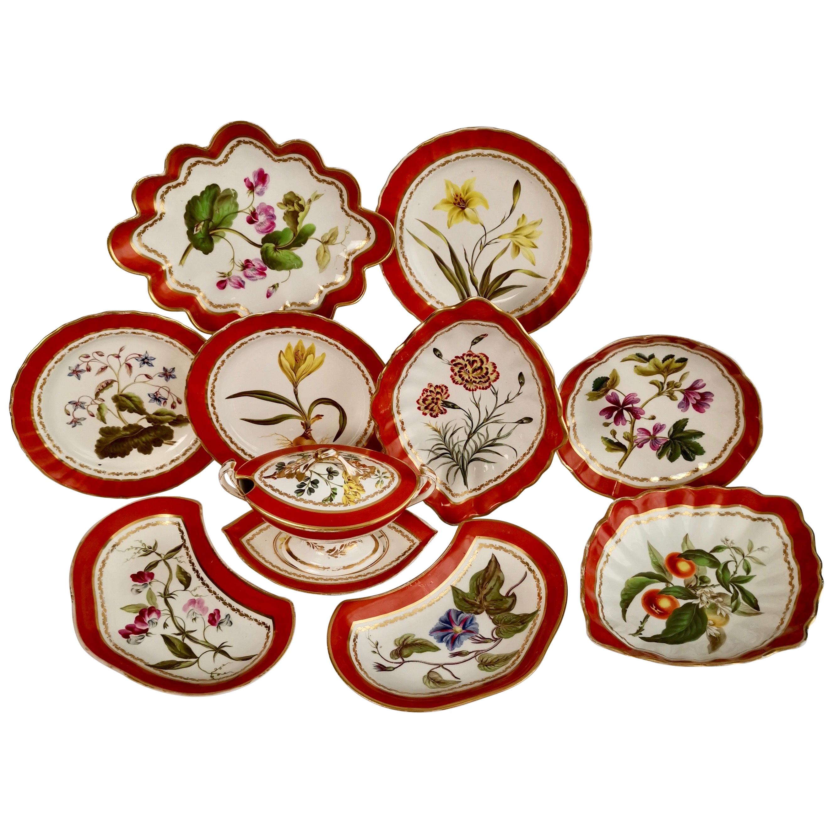 Derby Porcelain Dessert Service Red Botanical Attr. to John Brewer, Regency 1795