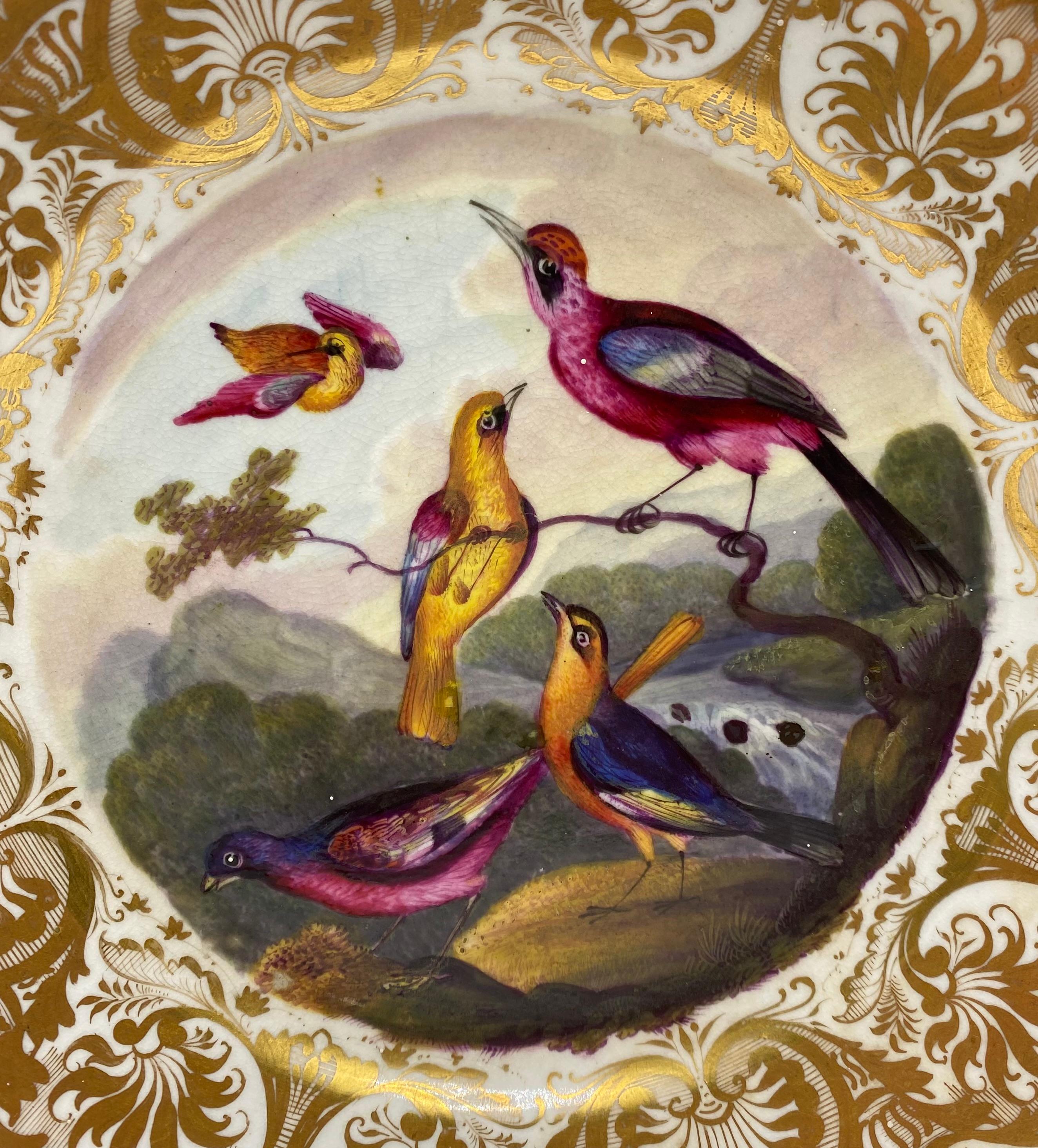 A fine Derby porcelain plate, c. 1815. Beautifully painted by Richard Dodson, with brightly coloured birds, in a wooded river landscape.
All within an elaborate gilt border of palmette, scrolls and cornucopia.
Iron red crowned batons and D mark to