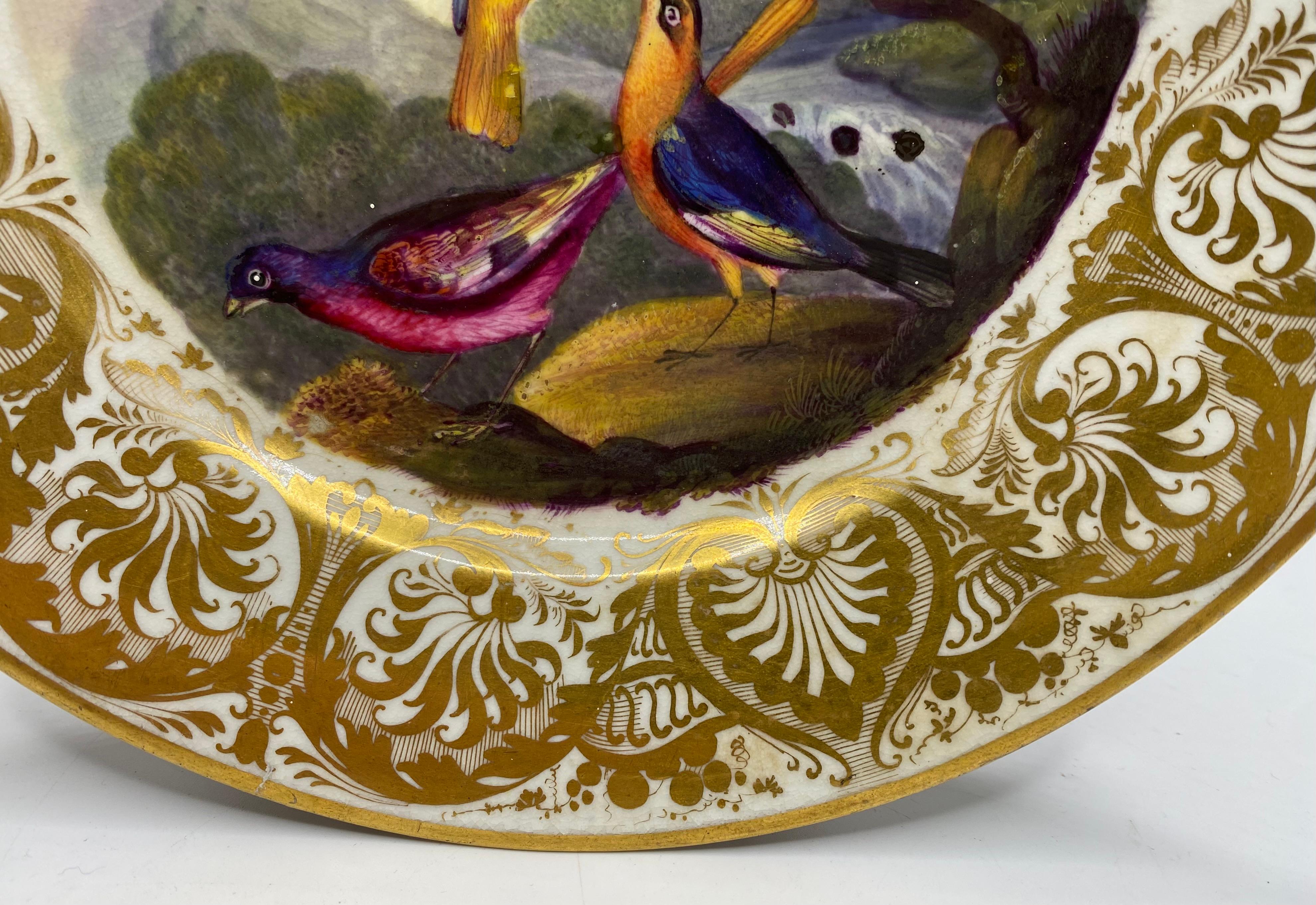 English Derby porcelain dish. Exotic birds, Richard Dodson, c. 1815.