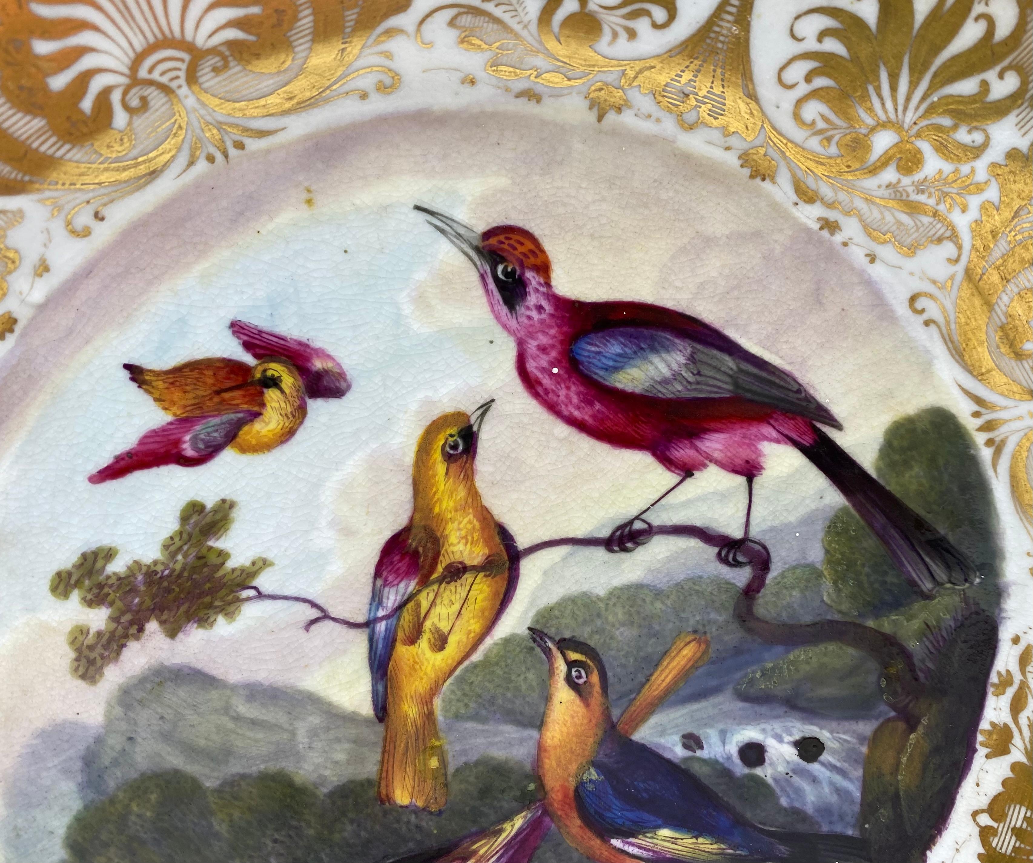 Fired Derby porcelain dish. Exotic birds, Richard Dodson, c. 1815.