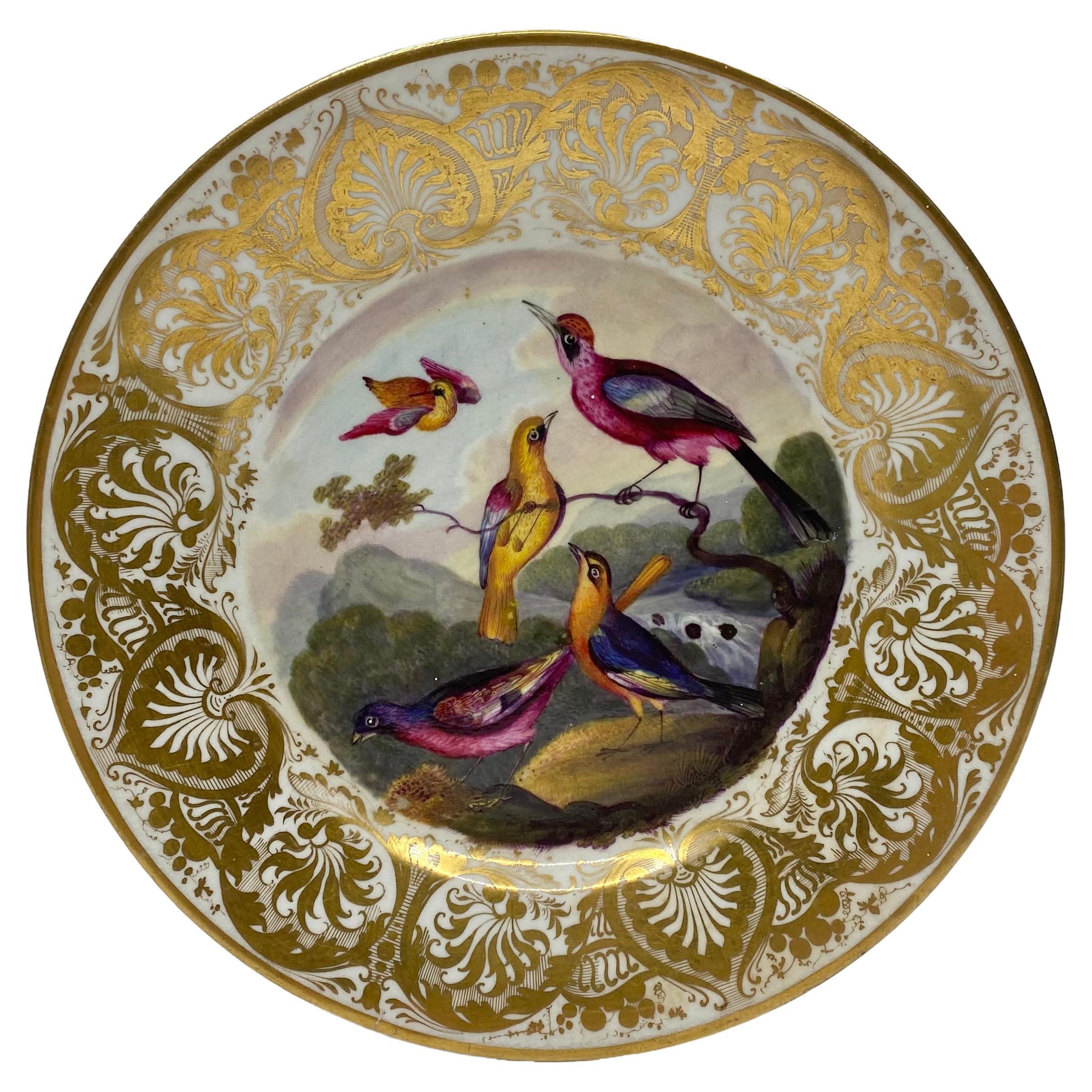 Derby porcelain dish. Exotic birds, Richard Dodson, c. 1815.