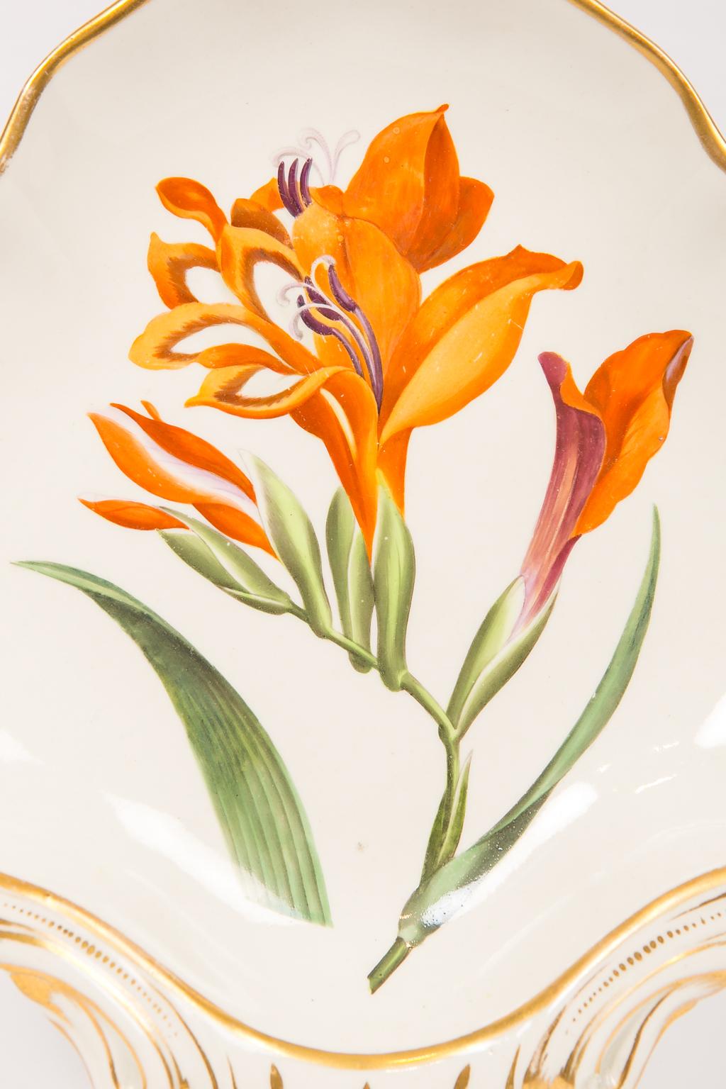 A Derby porcelain dish with a named botanical flower: a single beautiful gladiola painted in the late 18th century by the renowned artist Quaker Pegg. The combination of the various shades of orange with the touches of purple, and the subtle shades
