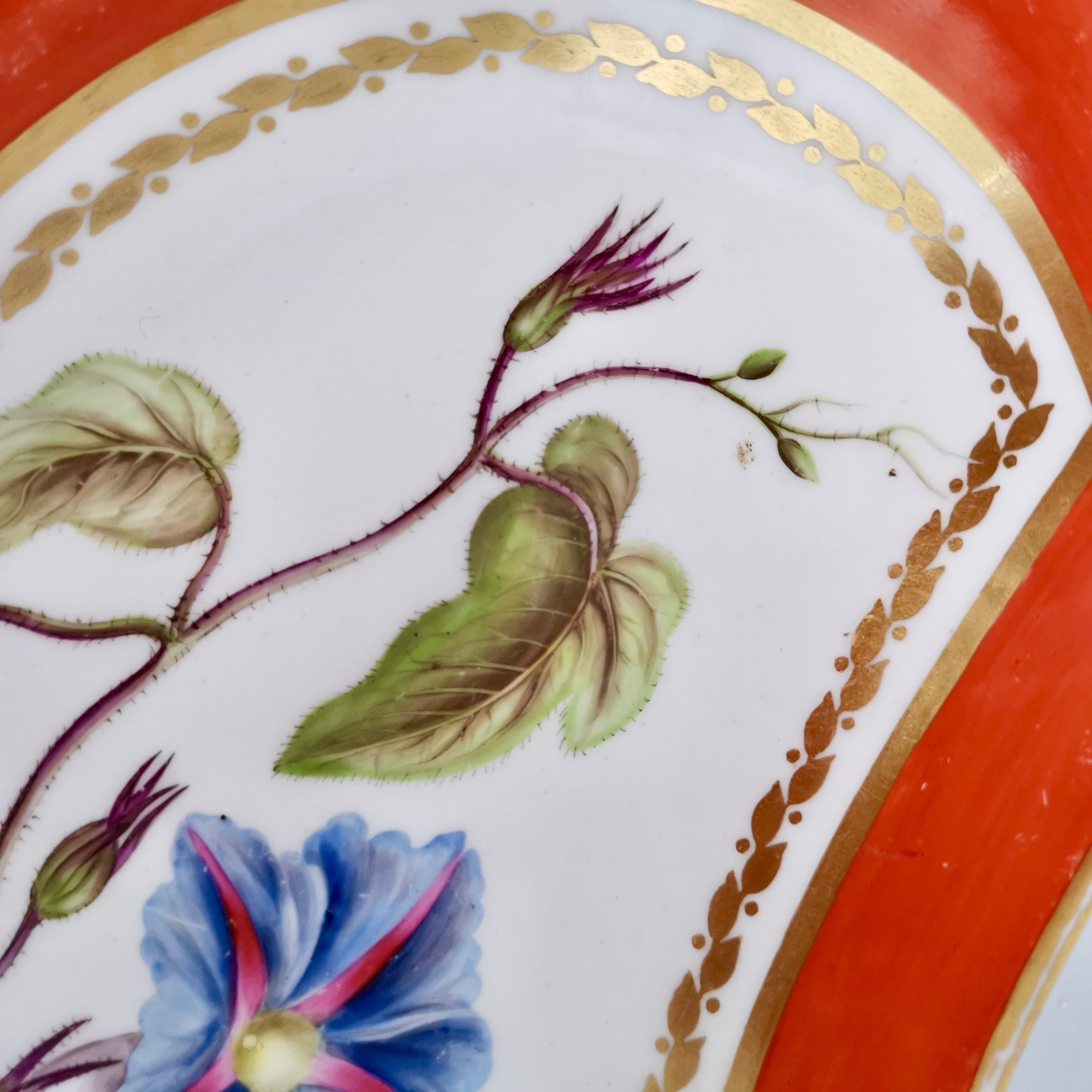 Hand-Painted Derby Porcelain Kidney Dish, Red, Named Botanical Attr. John Brewer, 1795-1800