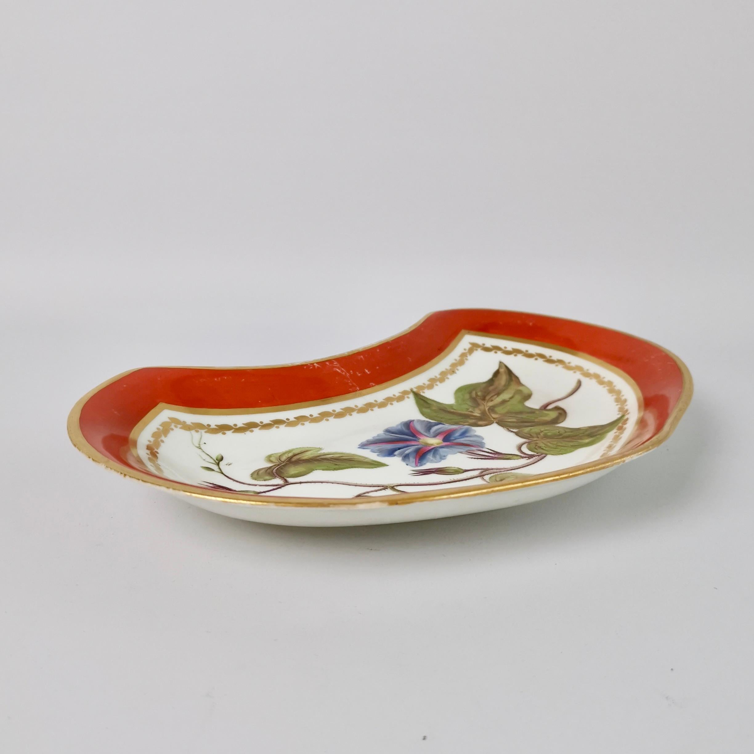 Derby Porcelain Kidney Dish, Red, Named Botanical Attr. John Brewer, 1795-1800 2