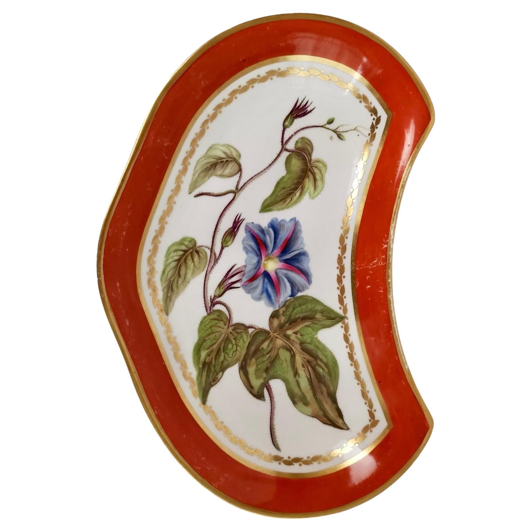 Derby Porcelain Kidney Dish, Red, Named Botanical Attr. John Brewer, 1795-1800