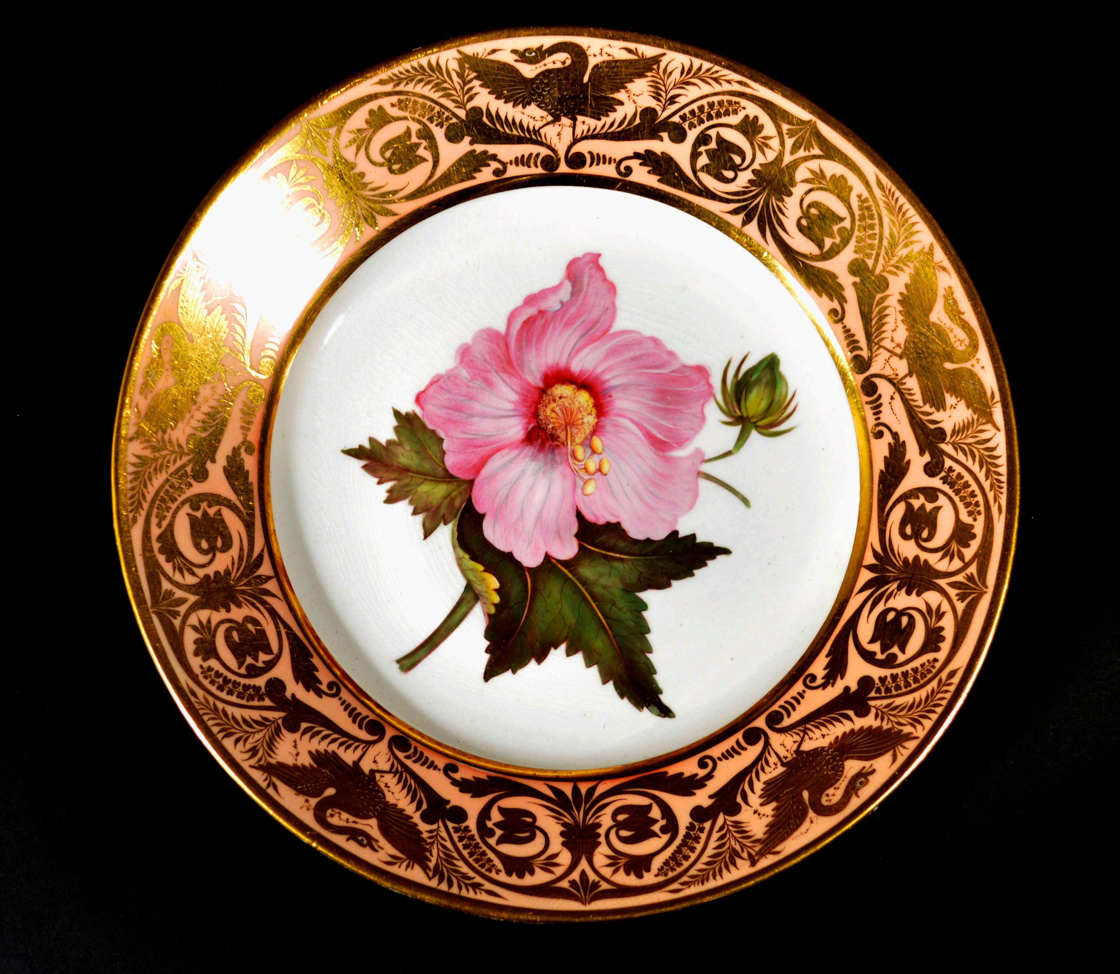 Derby Porcelain Salmon Ground Plate, Marsh Hibiscus, after William Curtis In Good Condition For Sale In Downingtown, PA