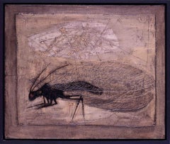 1952 oil painting of a house fly by British artist Derek Hirst, in blacks greys