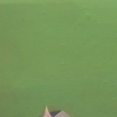 Green  mixed media on PVC panel