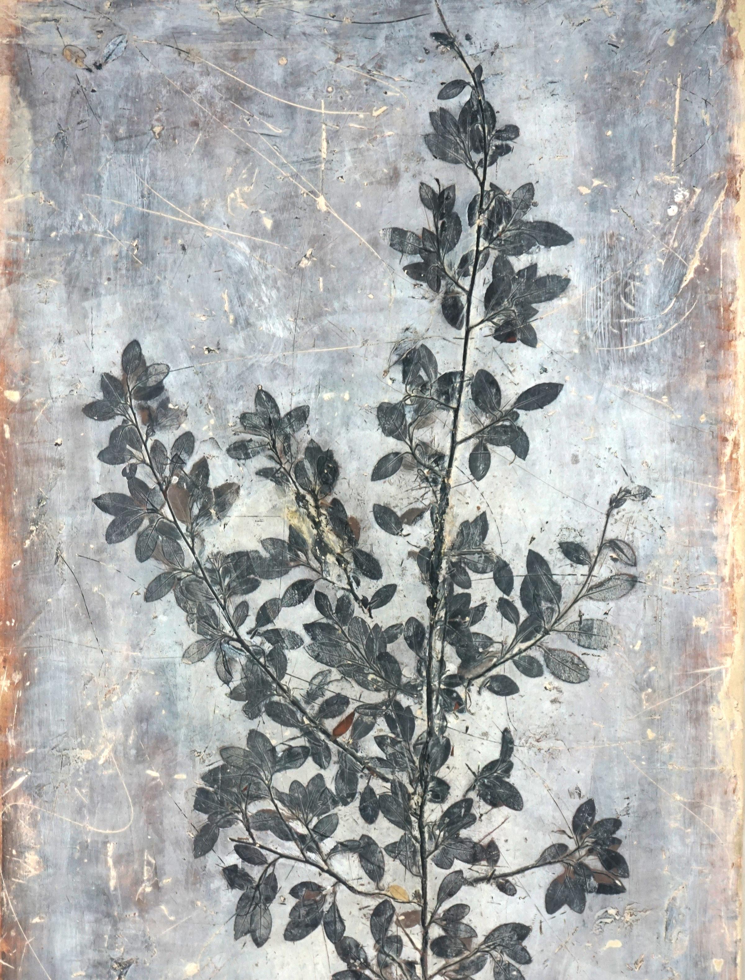 Peinture botanique minimaliste en techniques mixtes 