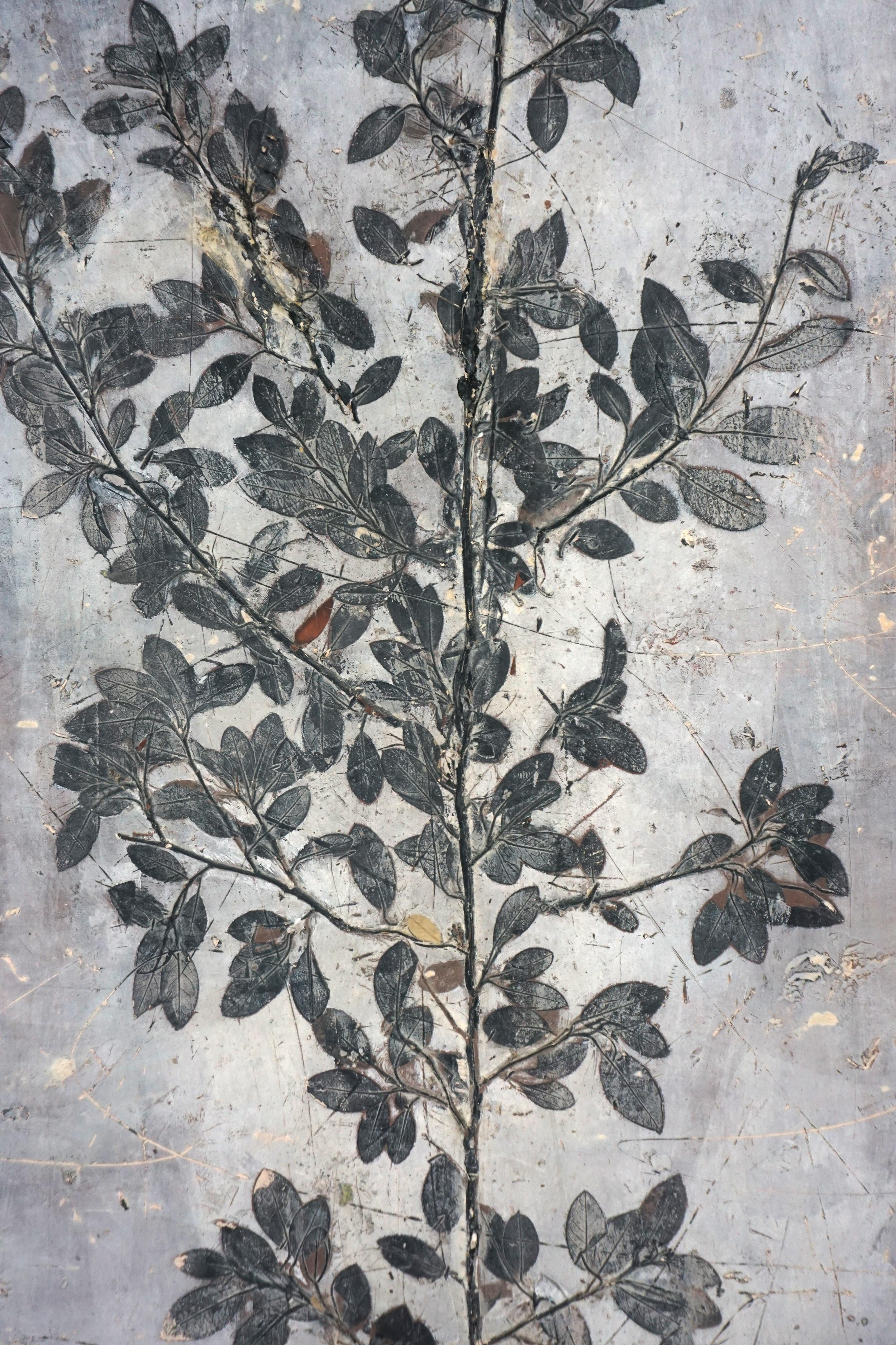 Peinture d'étude botanique minimaliste en techniques mixtes Botanique 