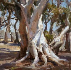 "Sycamores" Oil Painting