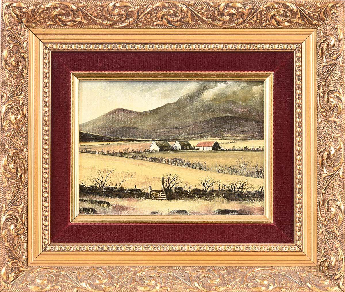 Small Oil Painting of Cottages in the Mournes in Ireland by Contemporary Artist, Derek Quann 

Art measures 8 x 6 inches 
Frame measures 13 x 11 inches (ornate gold frame with burgundy velvet insert, condition commensurate with age)