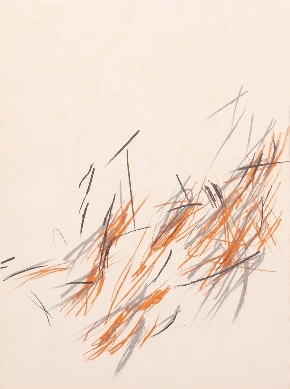 Derrière le Miroir Lithographien 16,5