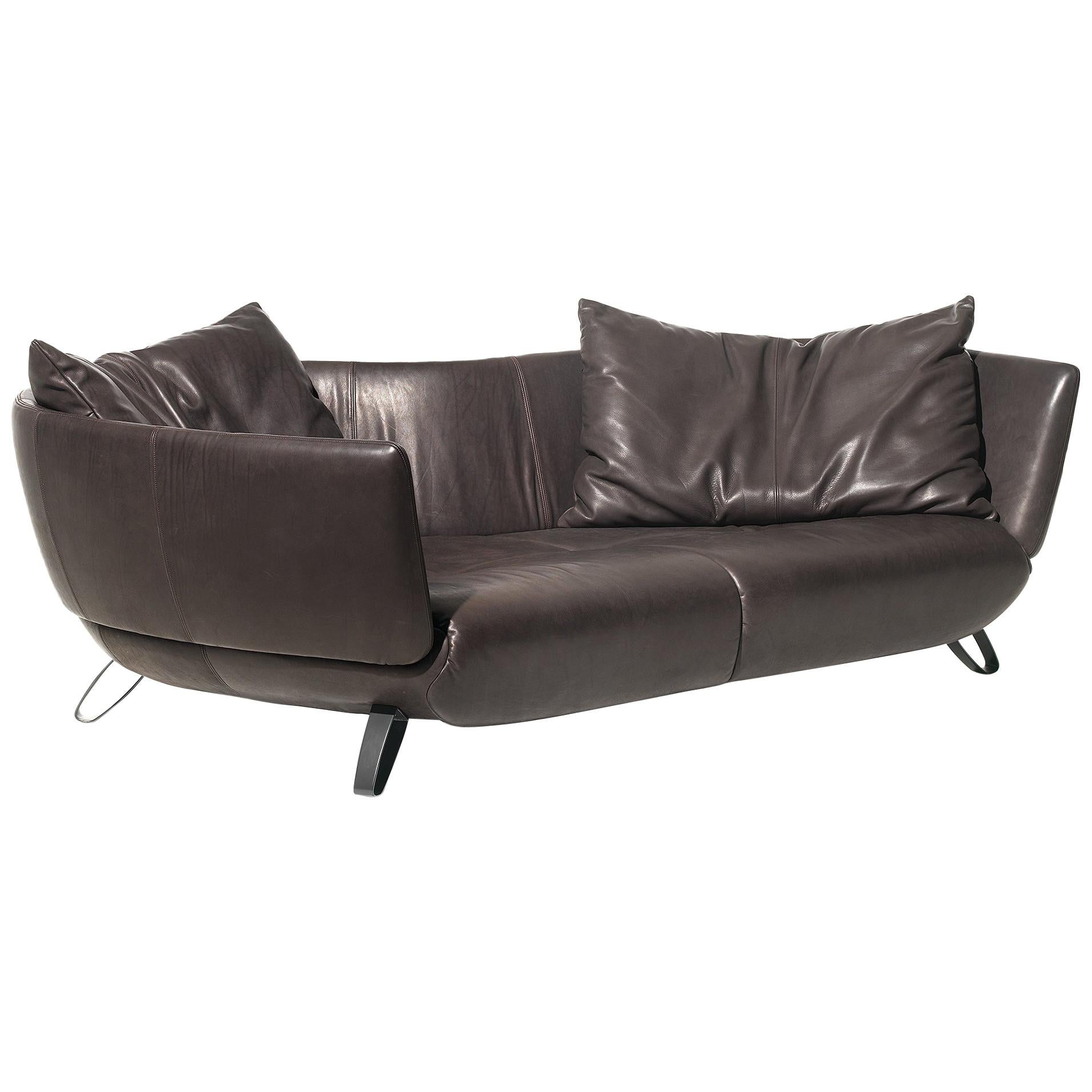 DS-102 Sofa by De Sede For Sale at 1stDibs