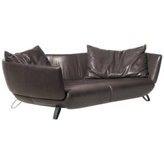 De Sede DS-102 Sofa in Espresso Upholstery by Mathias Hoffmann