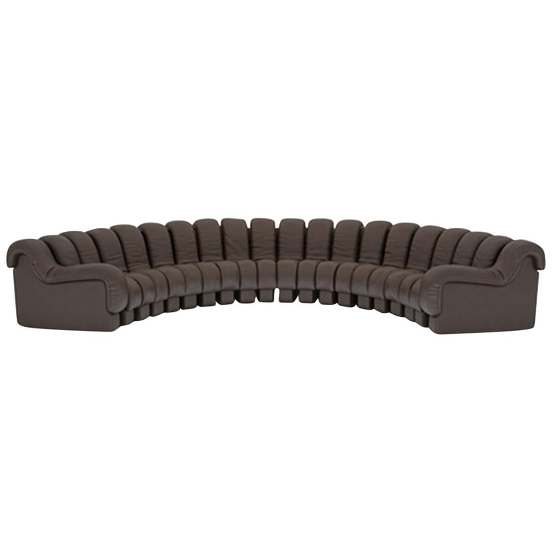 DeSede DS-600 Snake-Shape Modular Sofa in Espresso Leather & Adjustable Elements