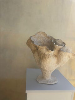 Couronne du désert