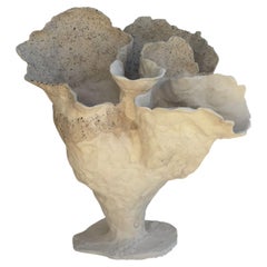 Couronne du désert
