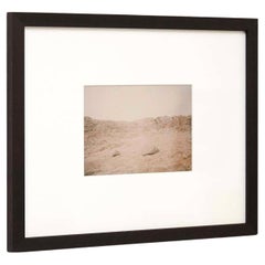 Essence du désert - Une photographie à couper le souffle de David Urbano