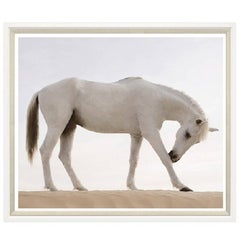 Desert Horse Print