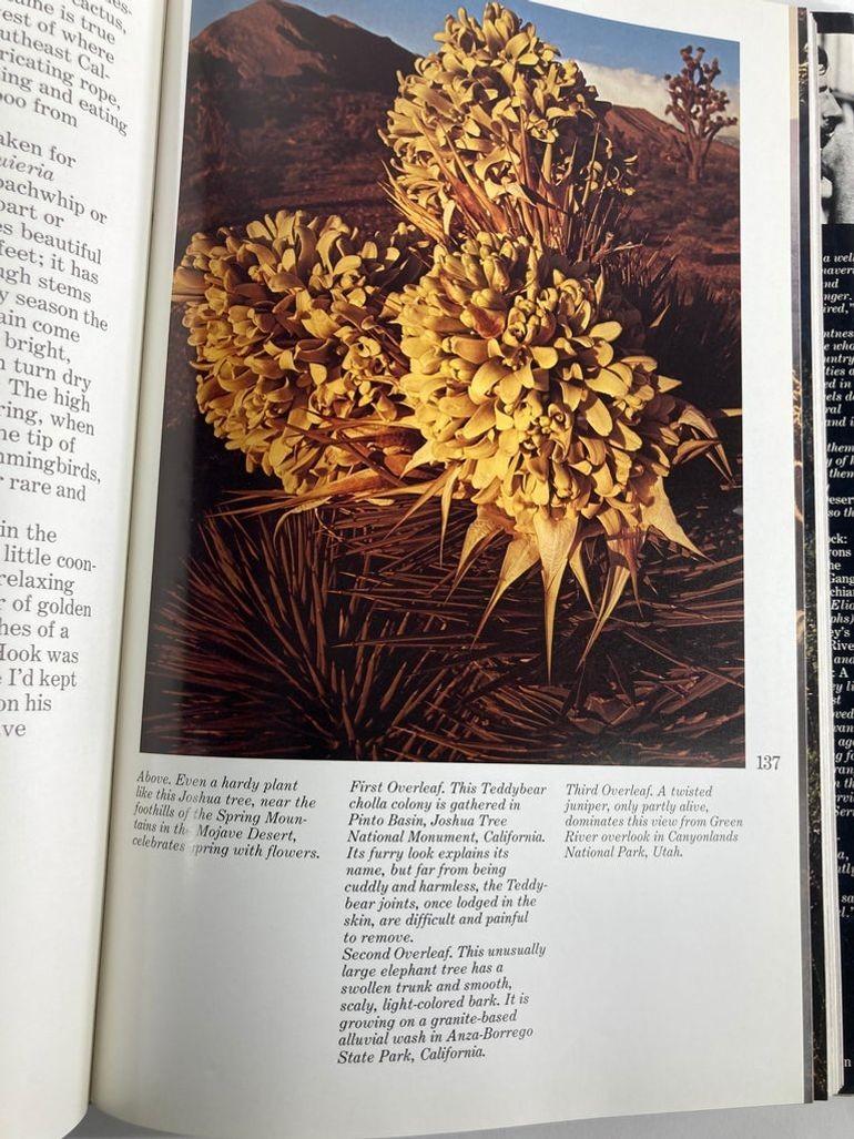 Desert Images an American Landscape Large Hardcover Book 5