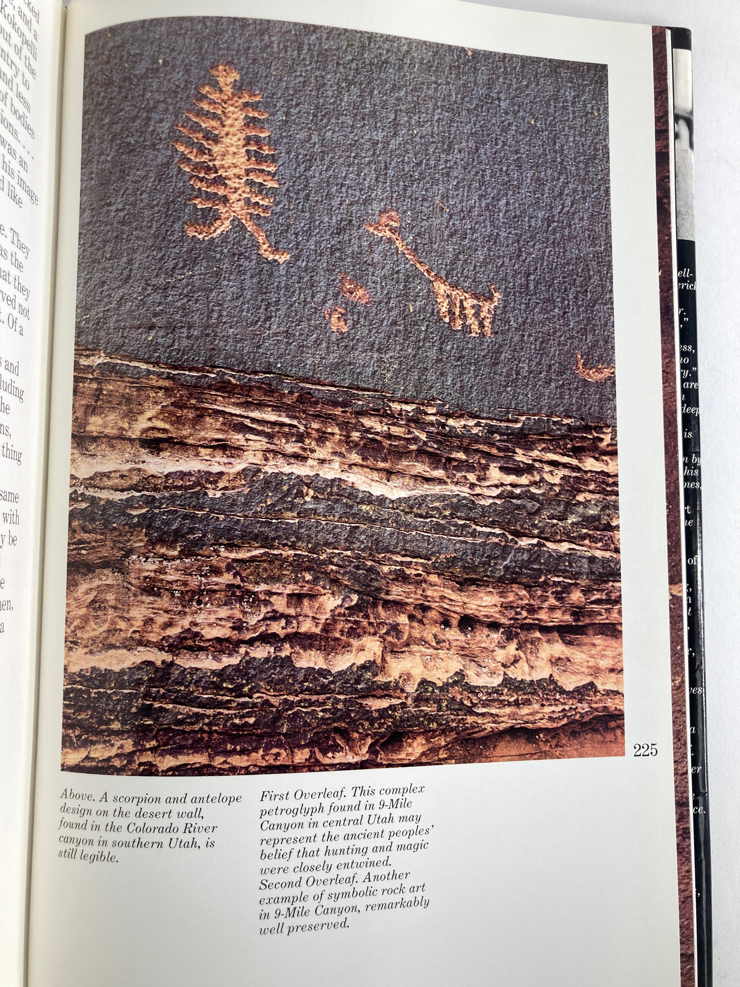 Desert Images an American Landscape Large Hardcover Book 9