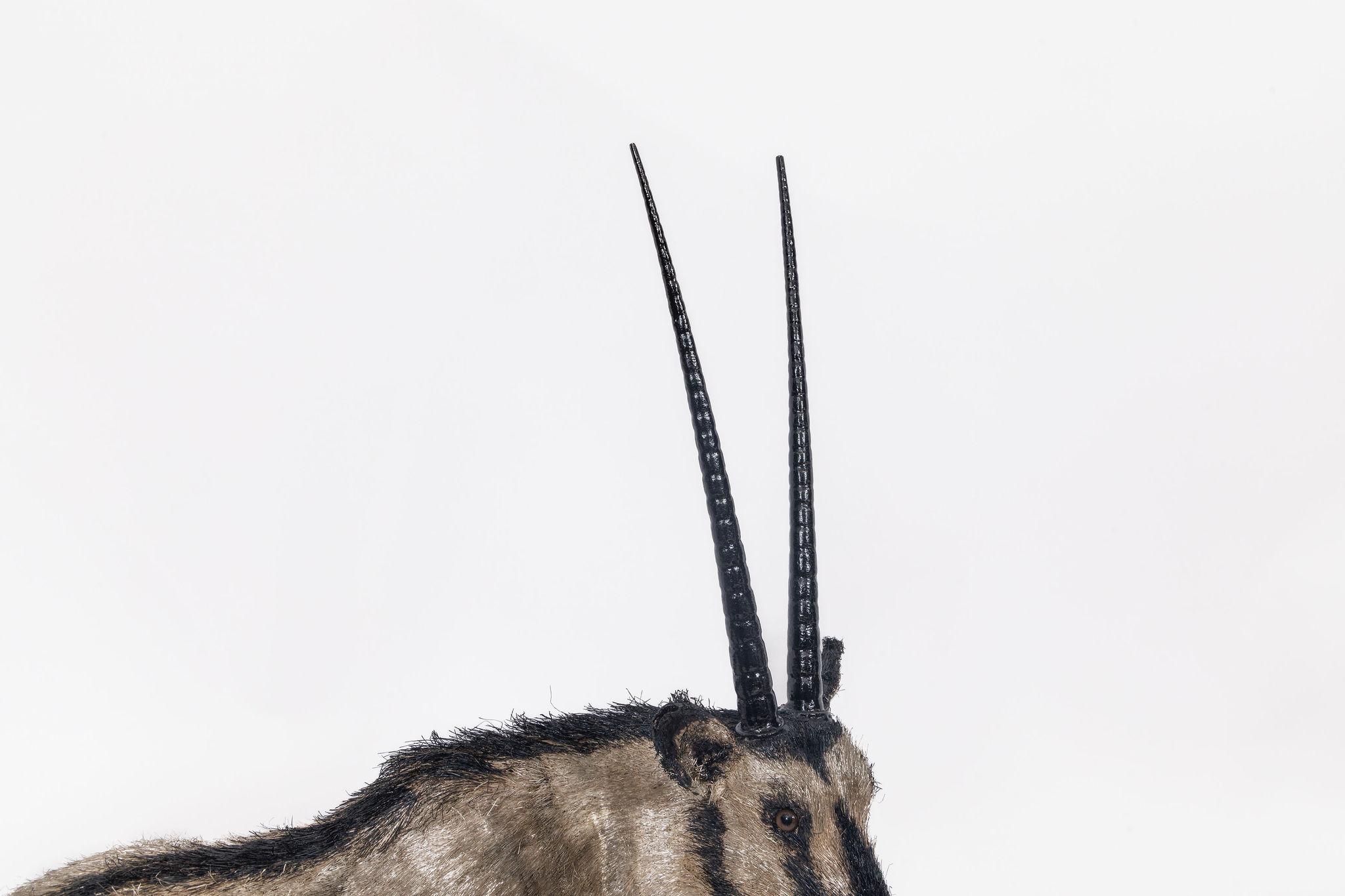 Maestà del deserto: Un Majestic Arabian Oryx in argento Sterling di Buccellati in vendita 4