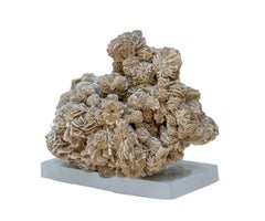 "Desert Rose" Natural Selenite Sculpture by Interi, on a Lucite Base