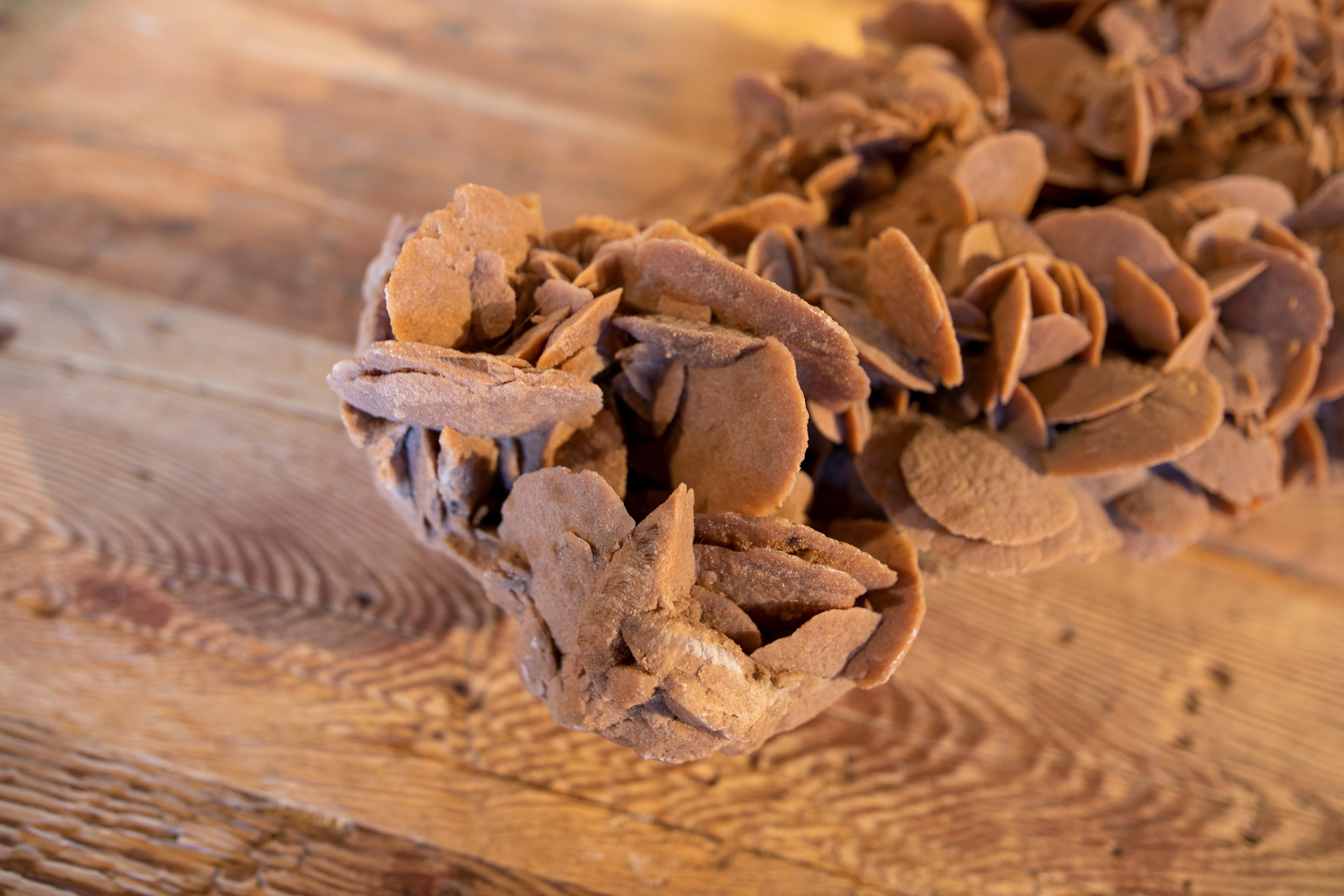 Desert Rose' Selenite Crystal Formation 5