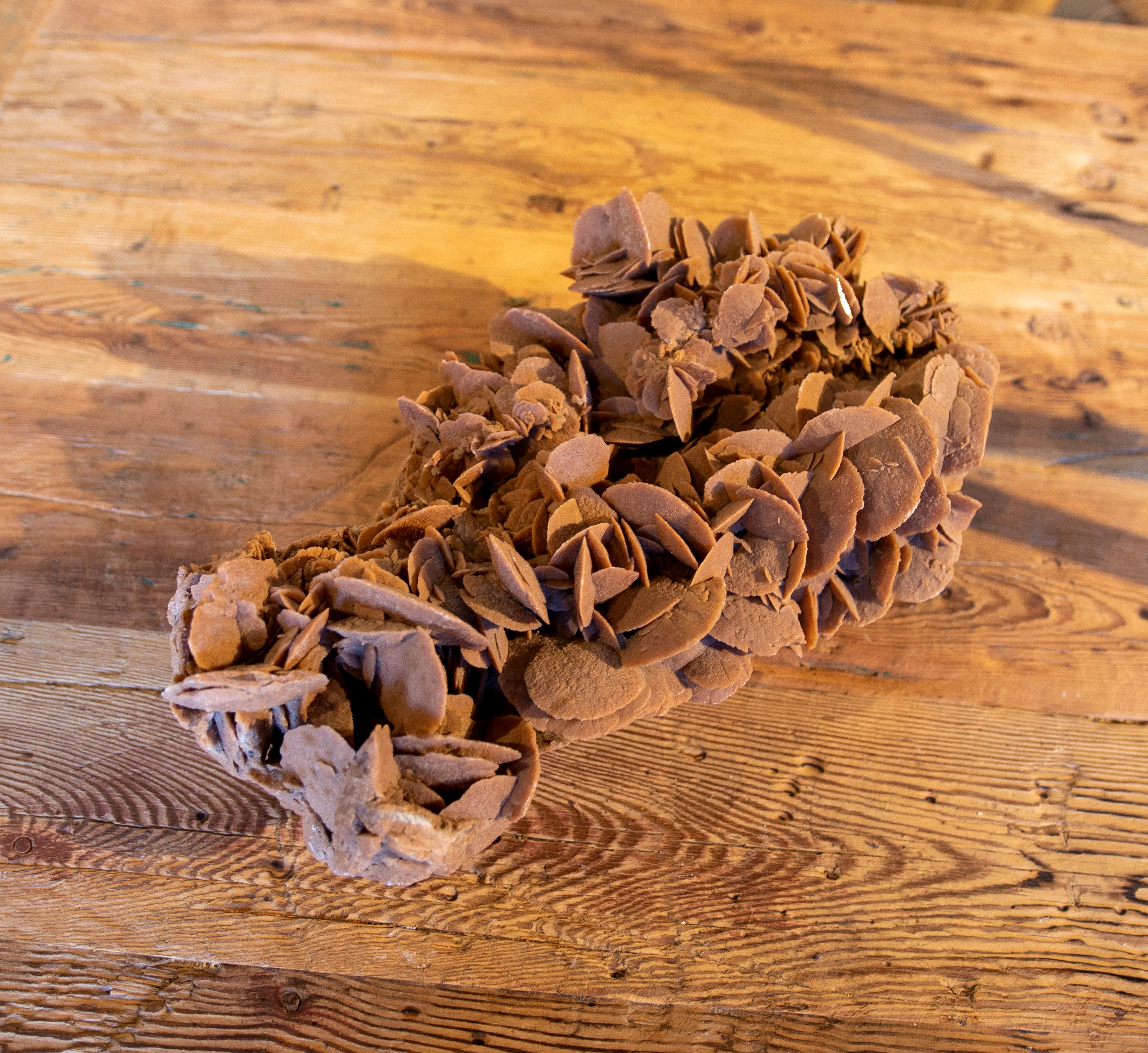 Desert Rose' Selenite Crystal Formation 6