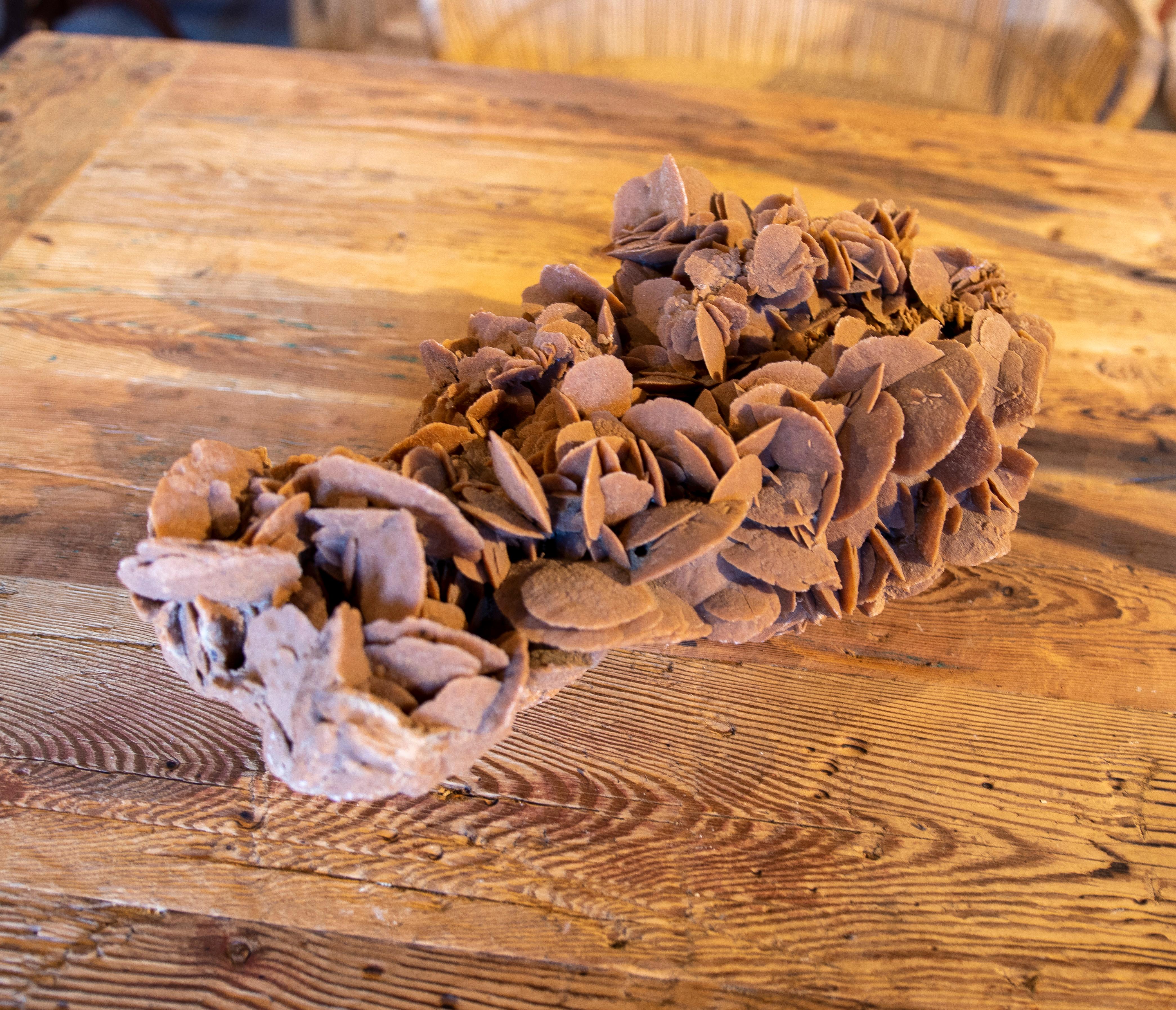 Desert Rose' Selenite Crystal Formation 7