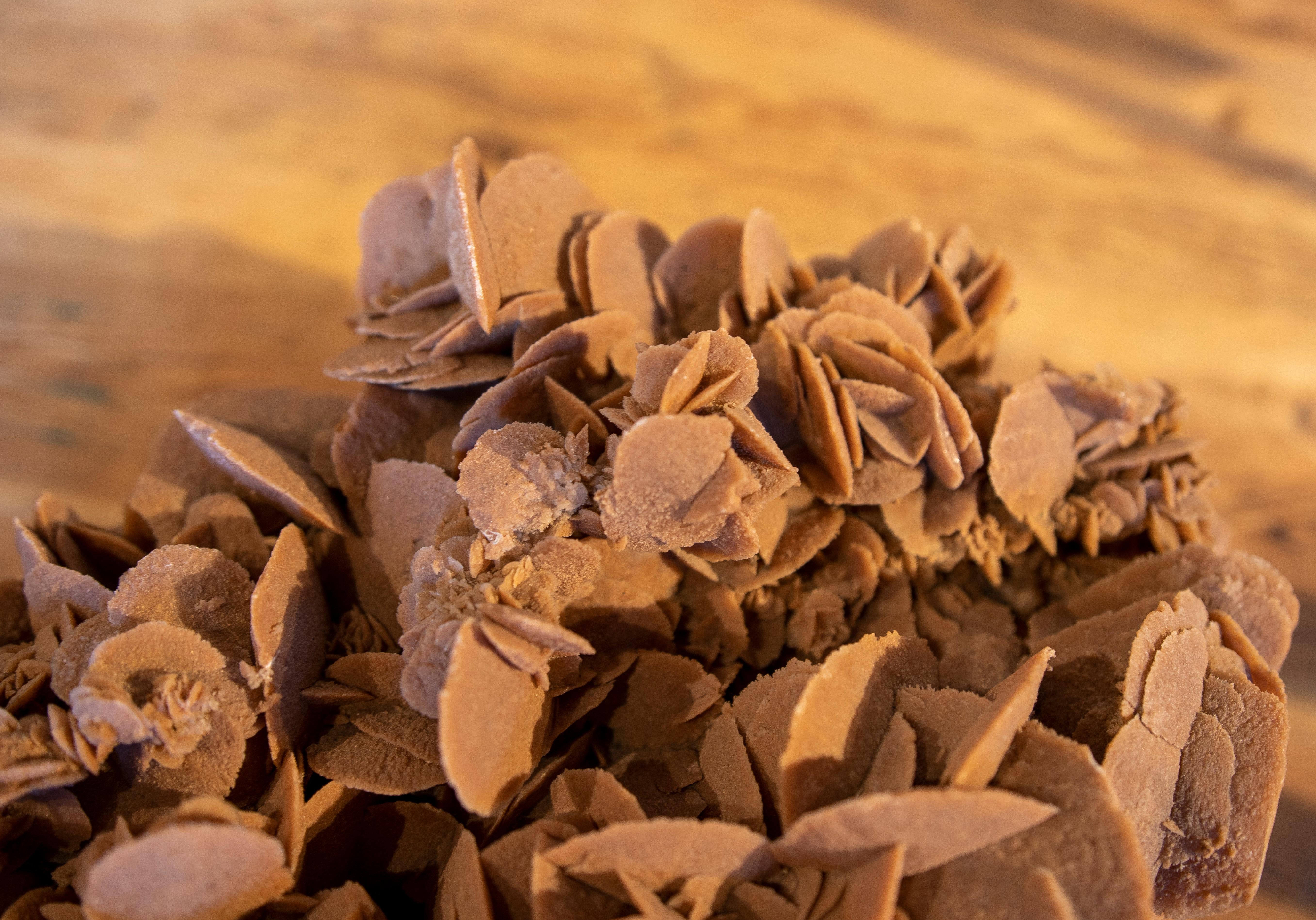 Desert Rose' Selenite Crystal Formation 9