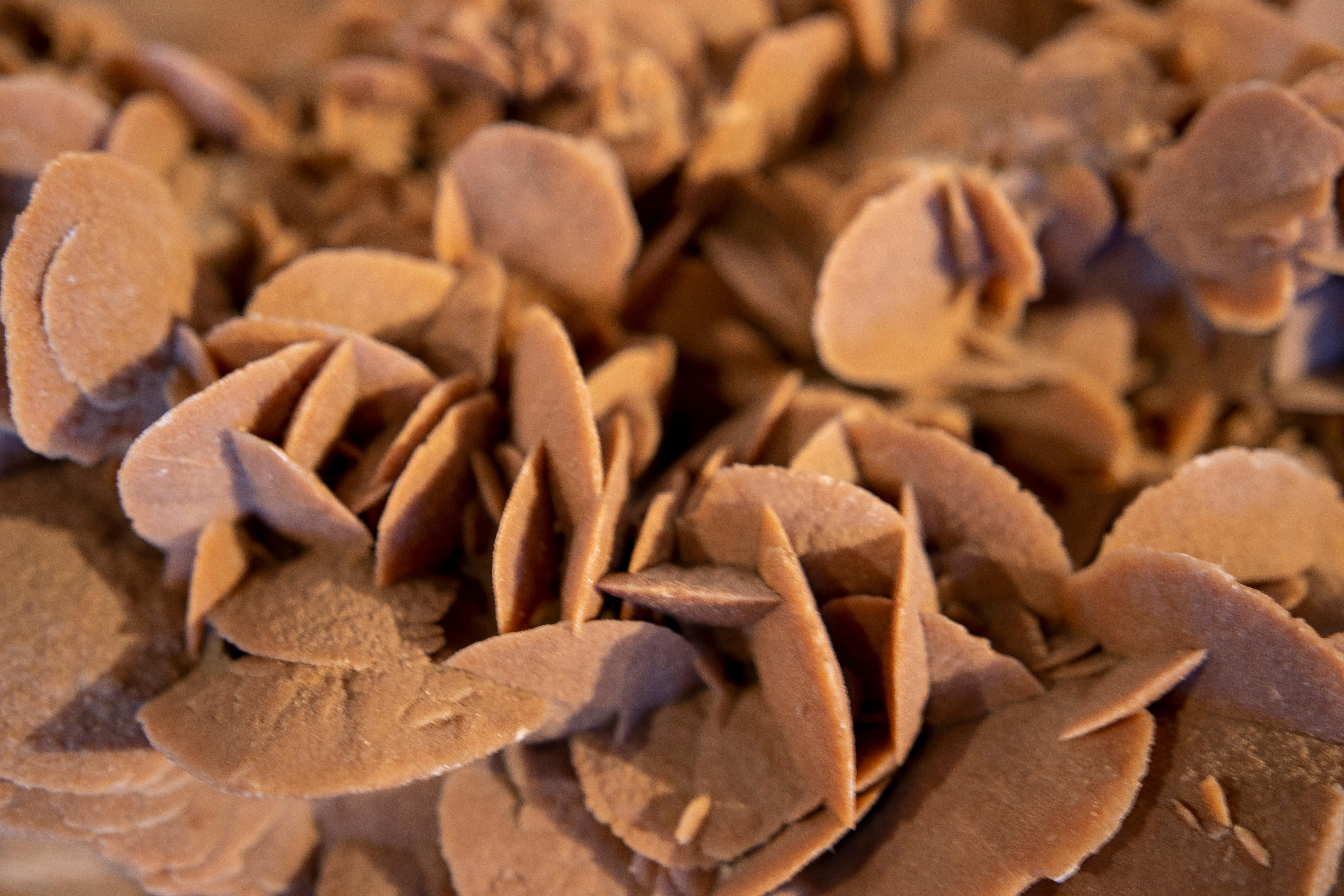 Desert Rose' Selenite Crystal Formation 12