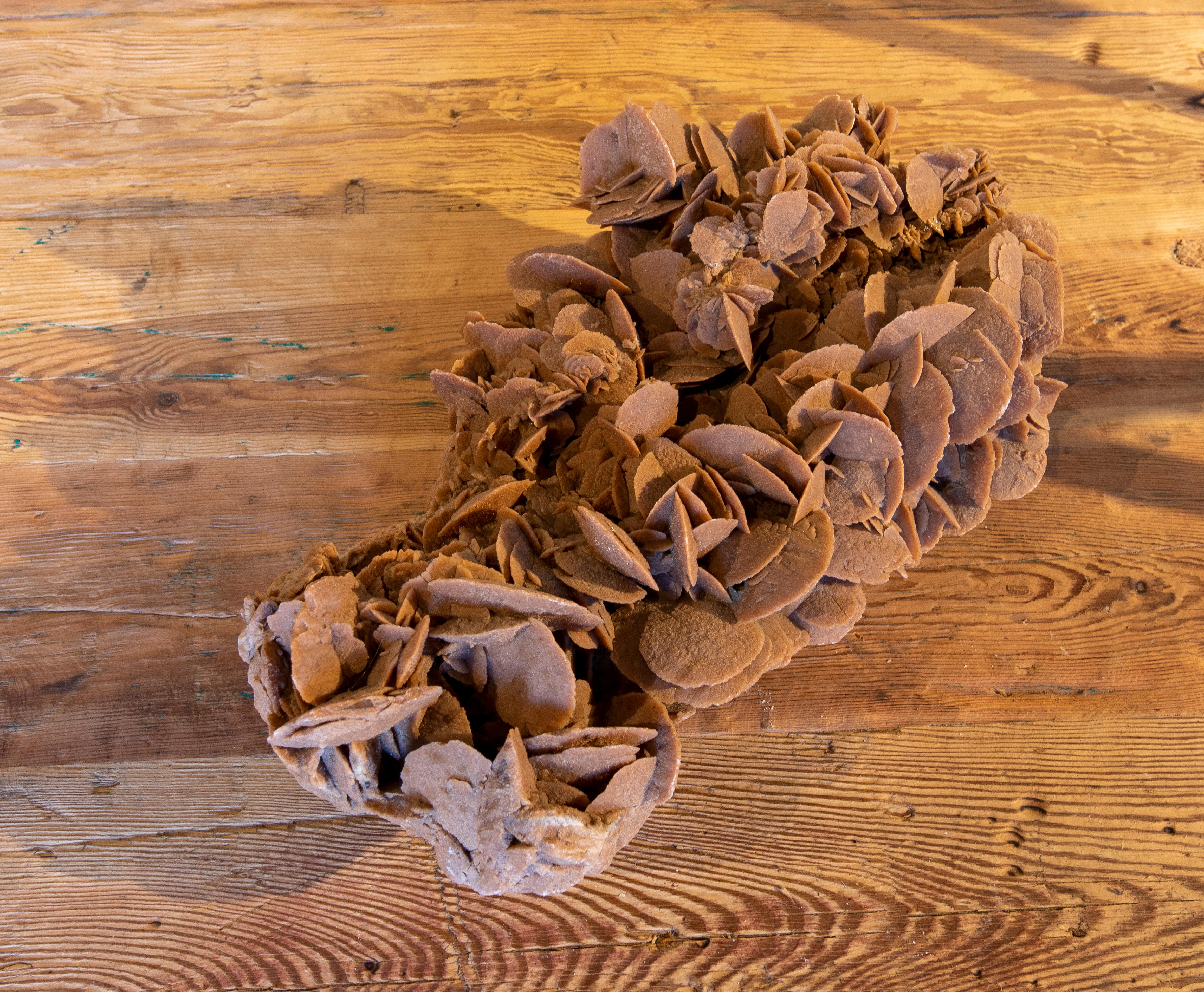 Desert Rose' Selenite Crystal Formation 13