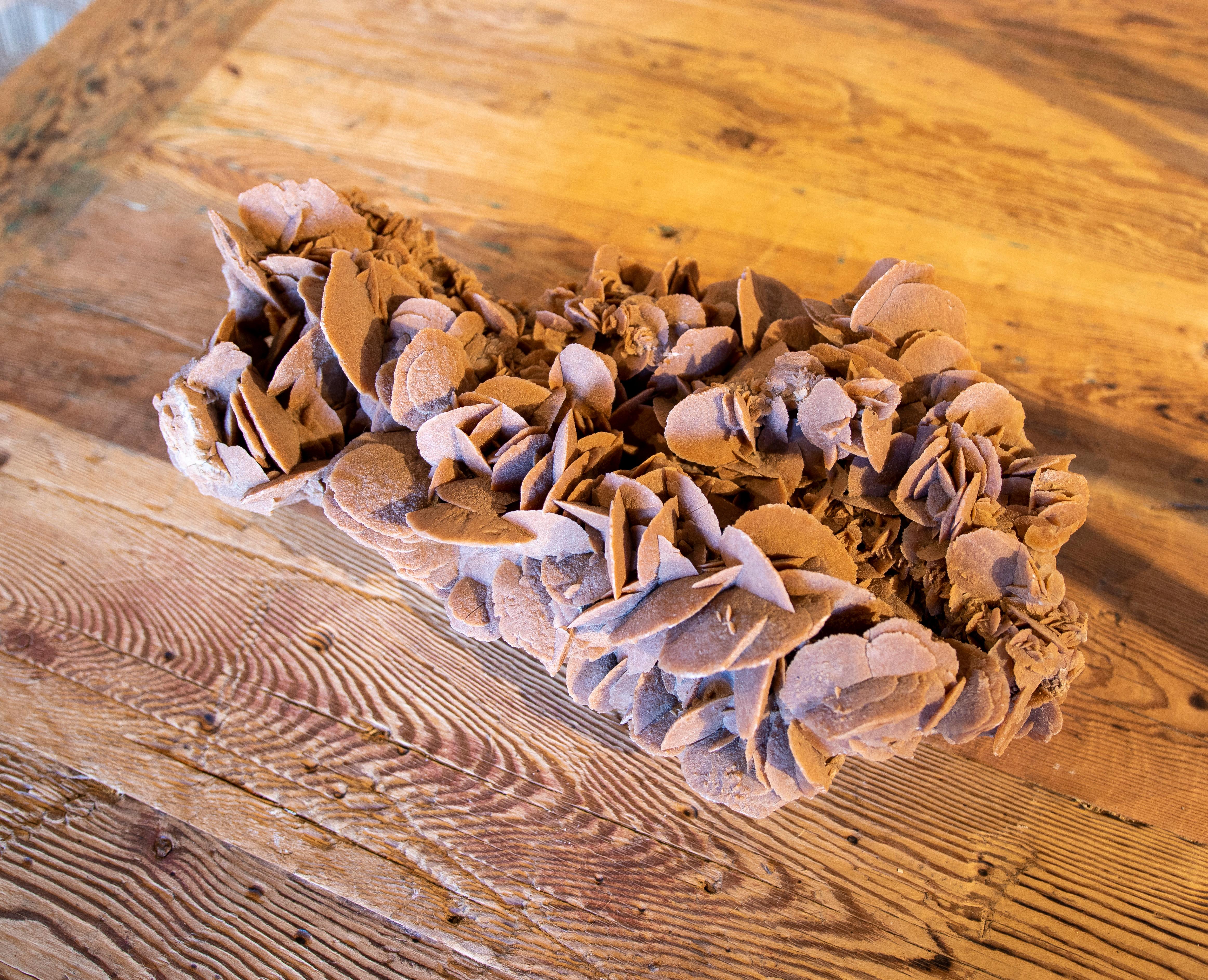 Desert Rose' Selenite Crystal Formation 1