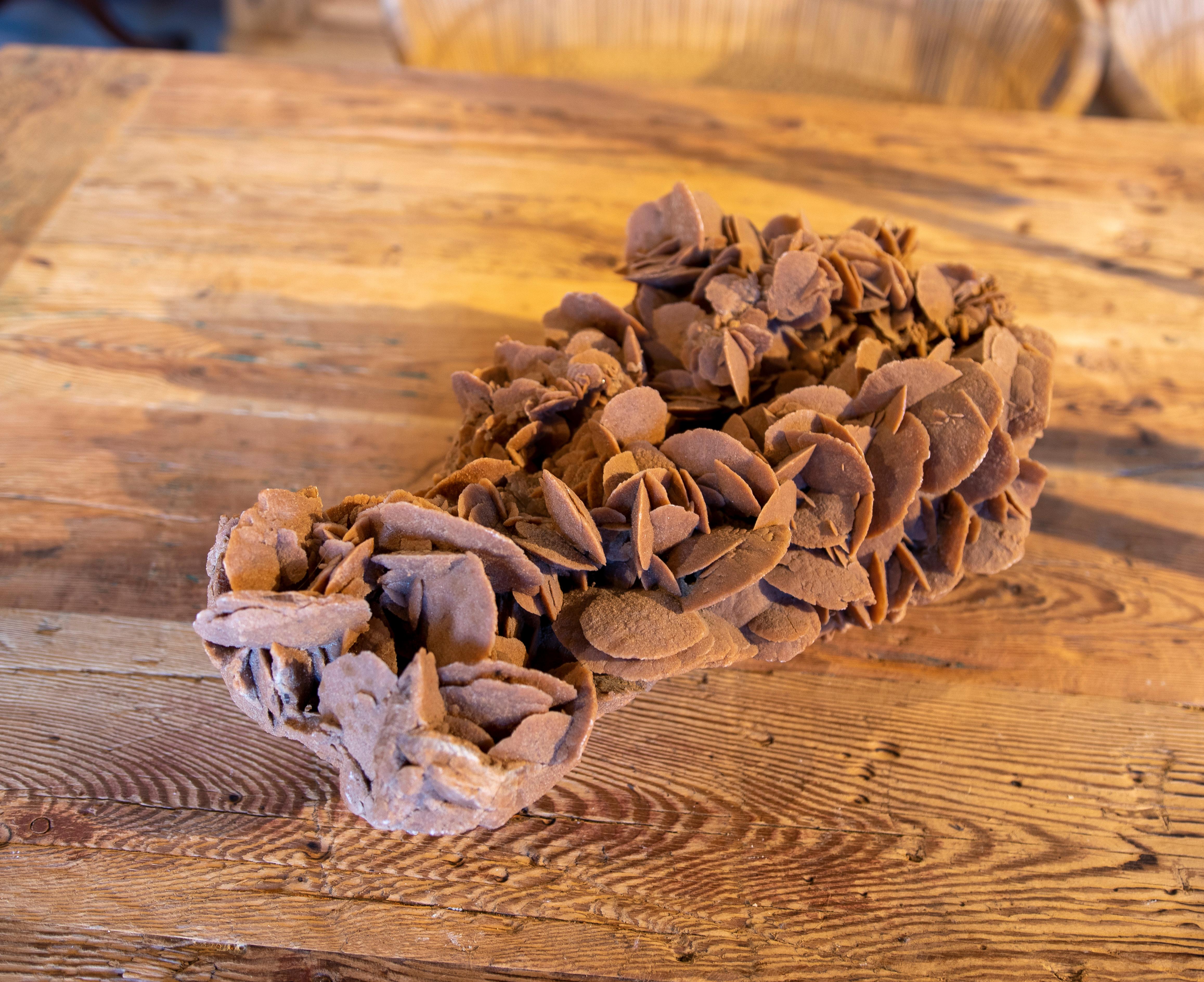 Desert Rose' Selenite Crystal Formation 2