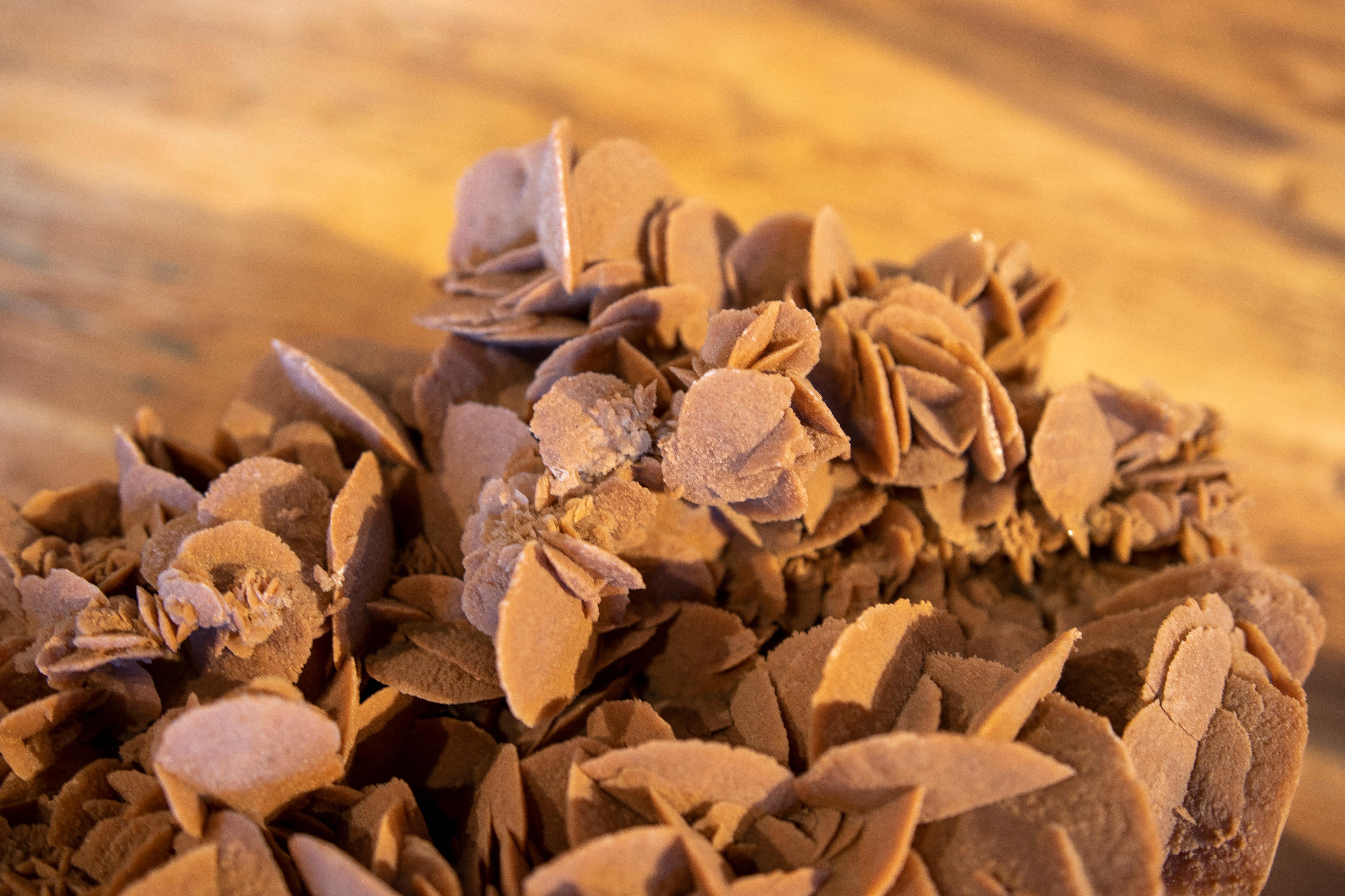 Desert Rose' Selenite Crystal Formation 3