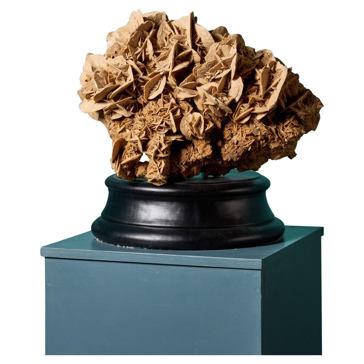 ��‘Desert Rose’ Selenite Crystal Formation