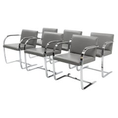 Design Classic: Mies Van Der Rohe, Set of Six Brno Chairs for Knoll, 1980s