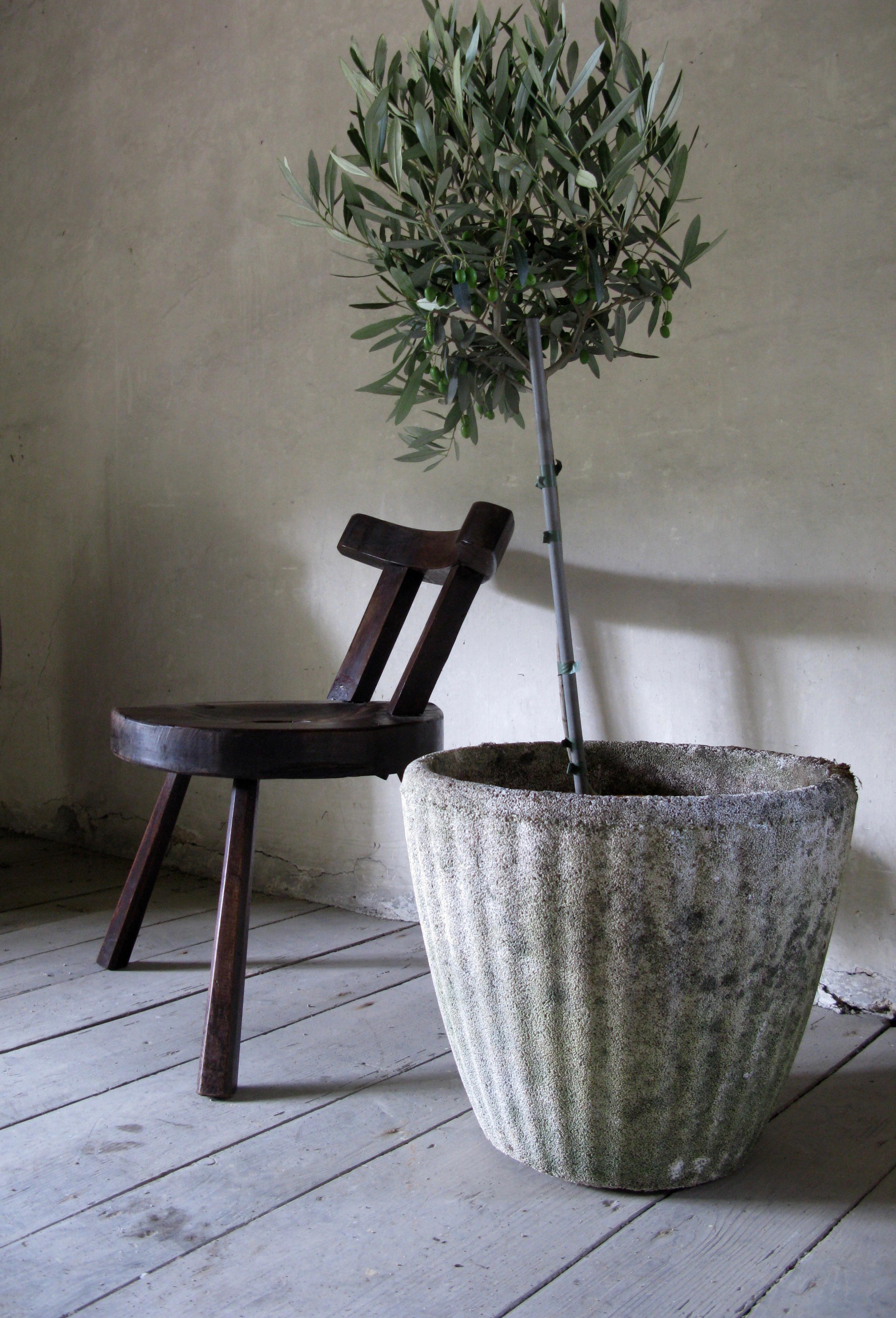 Polished Design, Country, Chair, Working Chair, Stool, Side Chair
