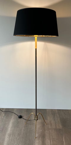 Design Gun Metal and Brass Floor Lamp