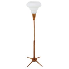 Design Midcentury Floor Lamp by ÚLUV, 1960s