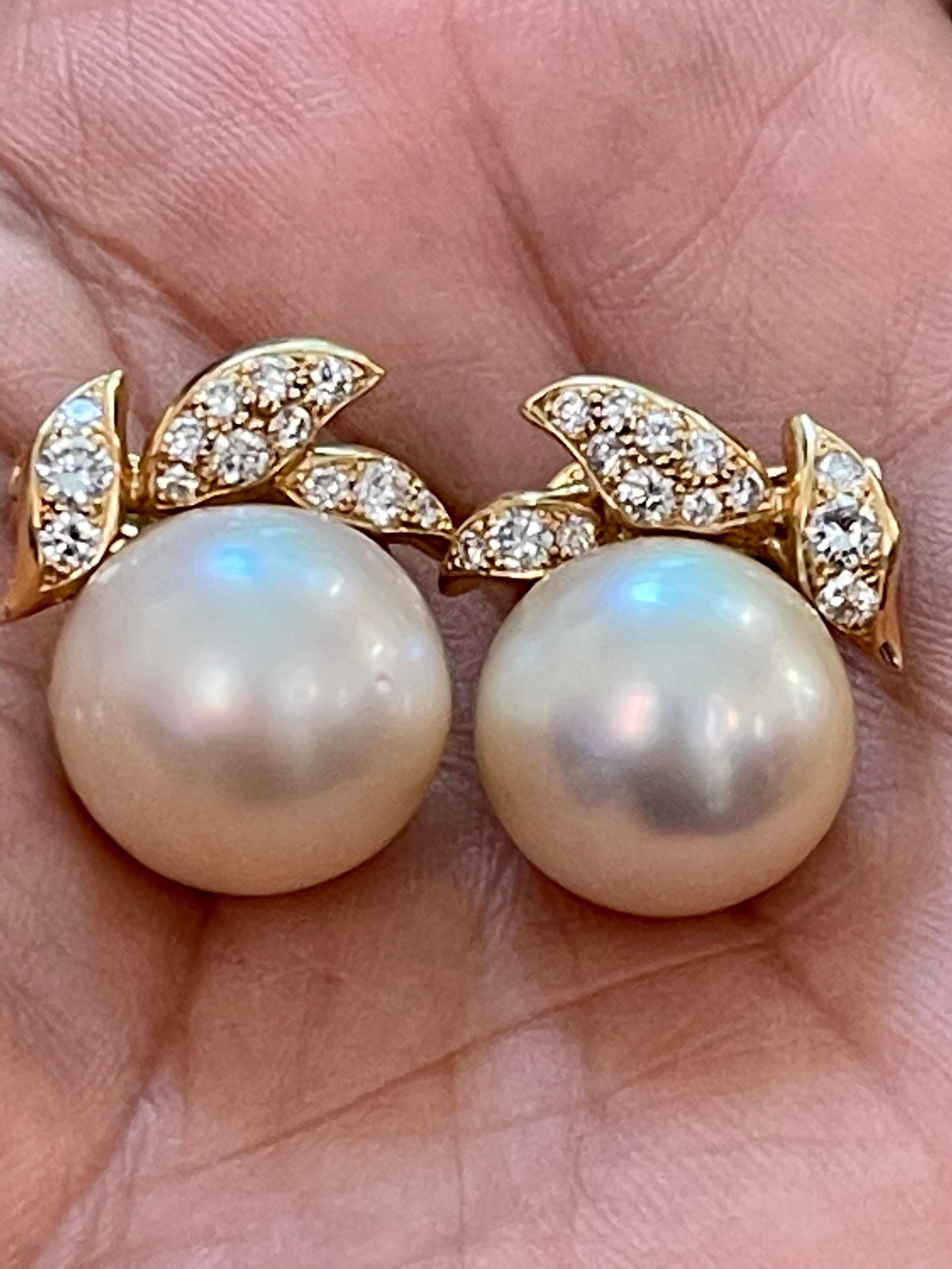 Round Cut Designer A.Reza's Cream South Sea Pearl & Dimond Stud Earrings 18 K Yellow Gold