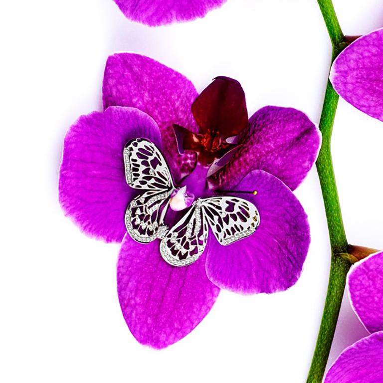 Brilliant Cut Designer Butterfly Hoop Earrings - 18k white gold and diamonds For Sale
