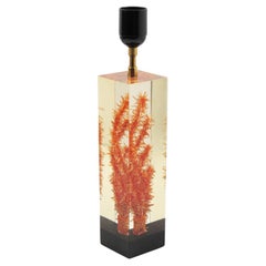 Designer Pierre Giraudon Resin with Inclusions Table Lamp