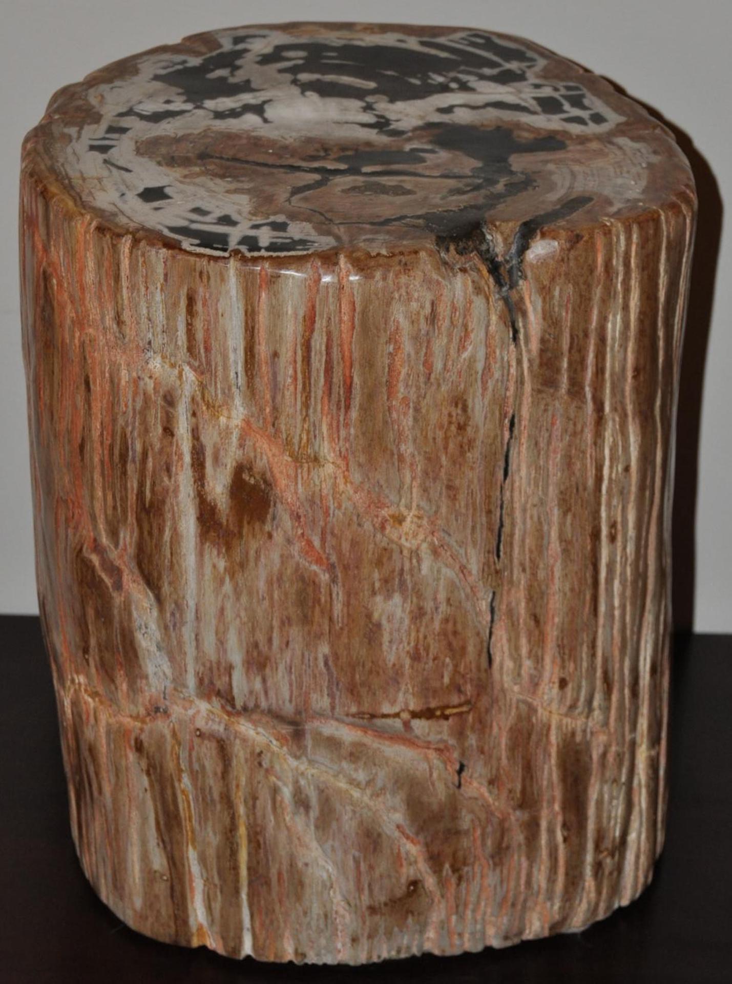 Extraordinary designer quality petrified wood side table.

Can also be used as a seat. 

Highly polished with beautiful natural markings left behind by natures process.

This side table is absolutely stunning and has a felt lined bottom.