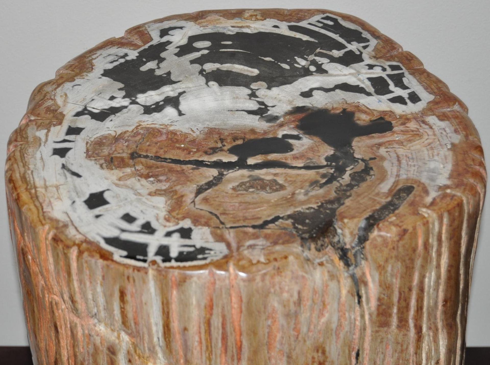 Central Asian Highly Polished Ancient Petrified Wood Side Table