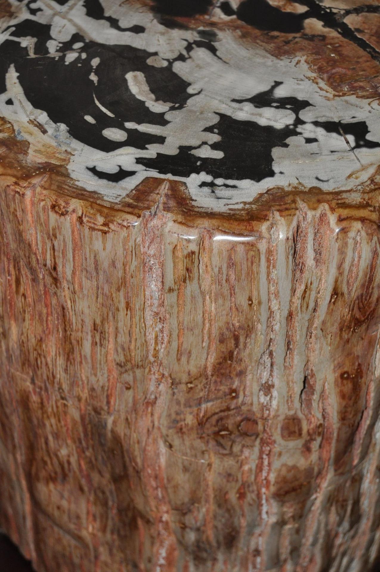 Other Highly Polished Ancient Petrified Wood Side Table